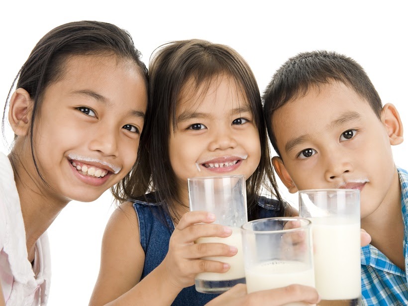Kelebihan Susu Dancow Untuk Anak-Anak